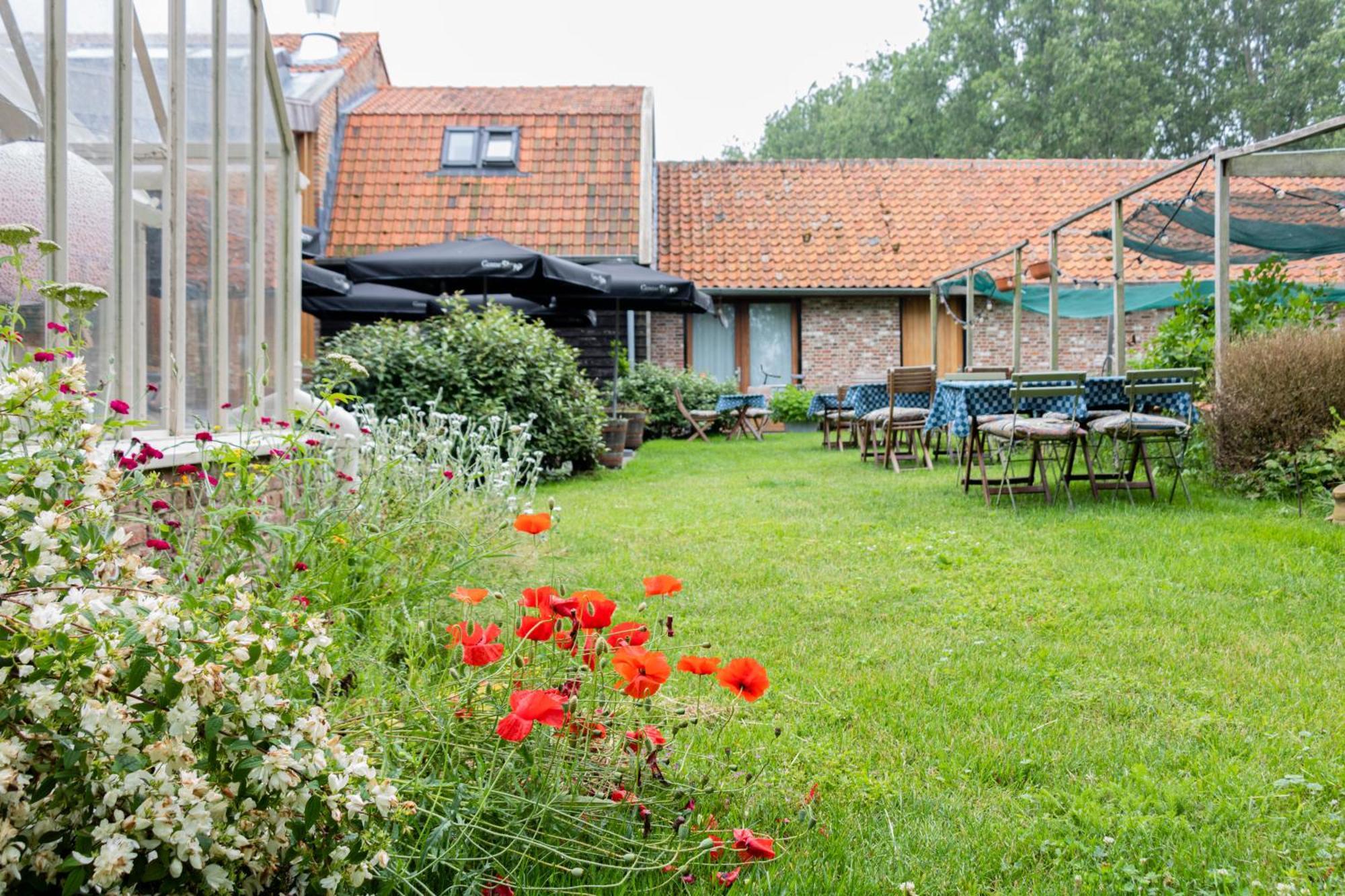 De 6 Linden Boutique Hotel Sluis Luaran gambar
